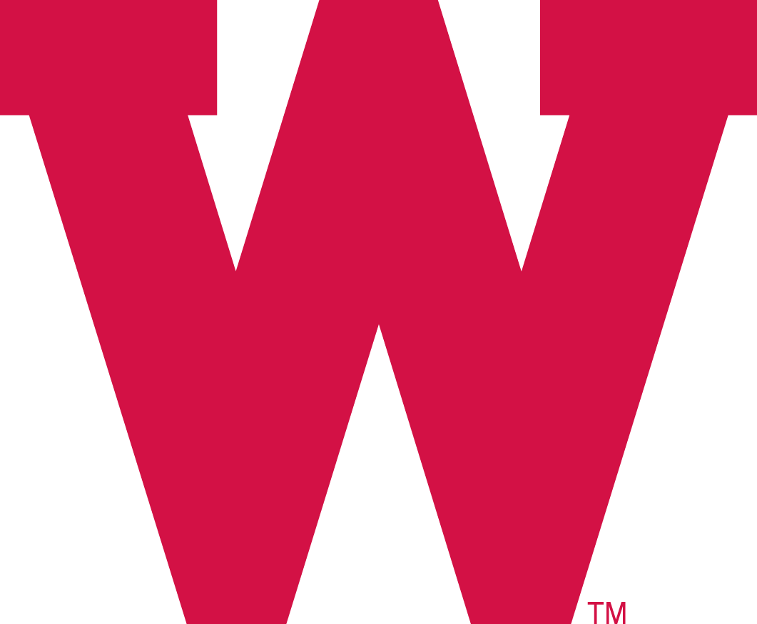 Wisconsin Badgers 1970-1991 Primary Logo iron on transfers for T-shirts
